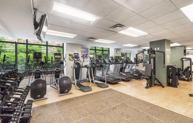 Studio, 1 bath, 483 sqft, $4,253, Unit 11B