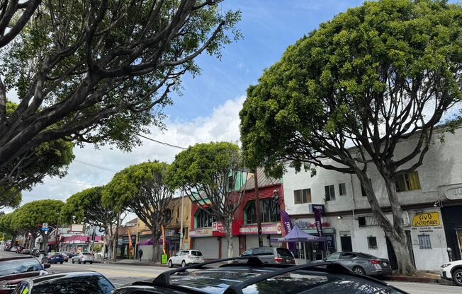 New with a View: The Units here are just right for You!