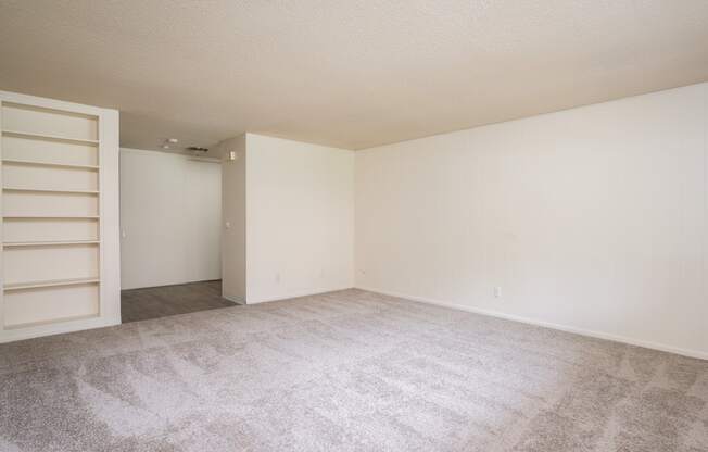 a bedroom with a closet and a carpeted floor