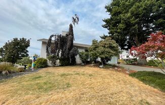 4 beds, 2.5 baths, $3,800