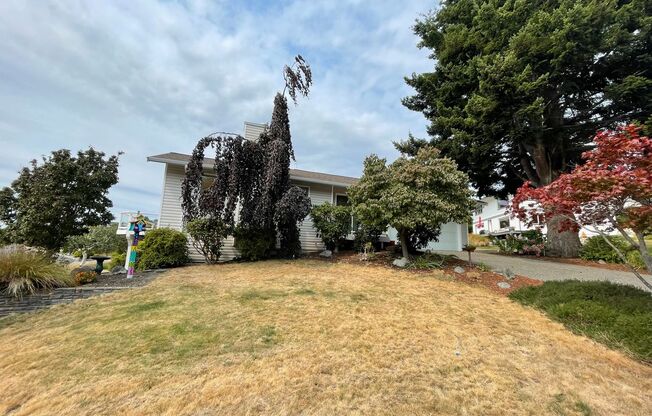 4 beds, 2.5 baths, $3,800