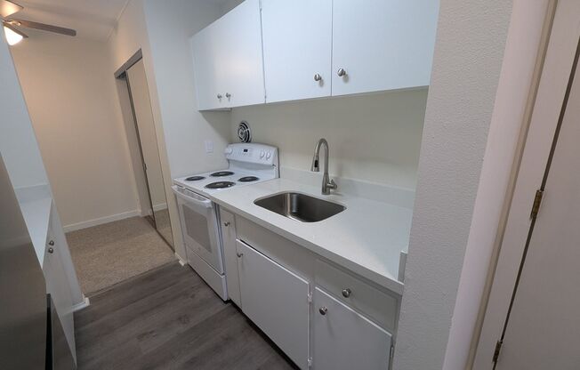 1 bed, 1 bath, 573 sqft, $1,745, Unit 307
