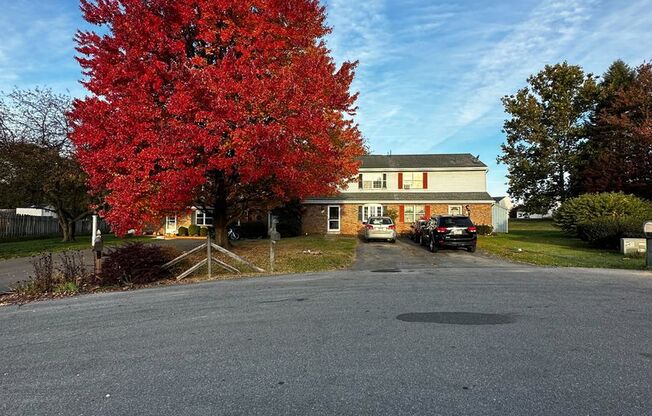 Adorable 3 Bedroom Townhouse- Lots of Storage Space!