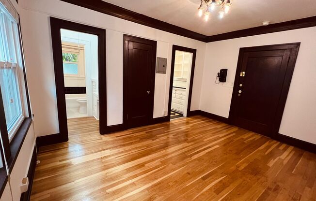 Studio, 1 bath, 310 sqft, $1,299, Unit 204