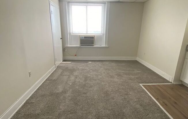 1 bed, 1 bath, 450 sqft, $1,250, Unit 704