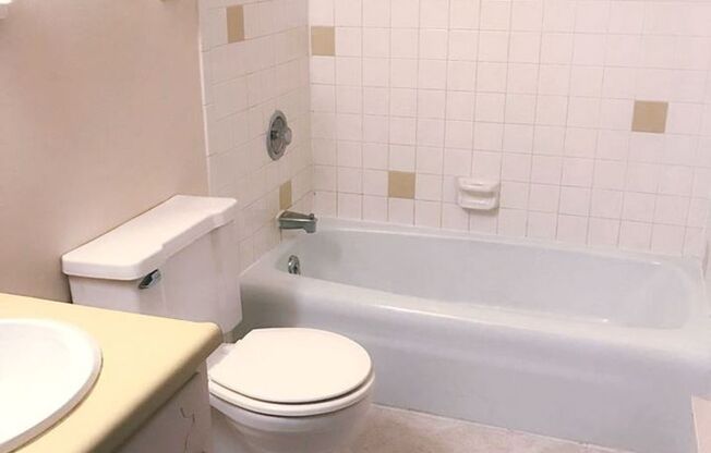Studio, 1 bath, 300 sqft, $1,055, Unit 102-205
