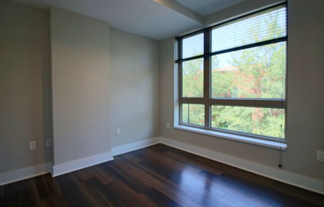 1 bed, 1 bath, 534 sqft, $1,495, Unit APT 205