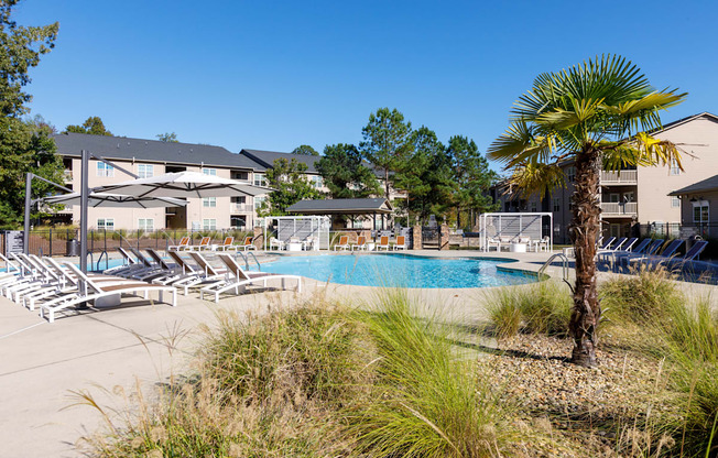 A palm tree stands next to a pool in front of a building.