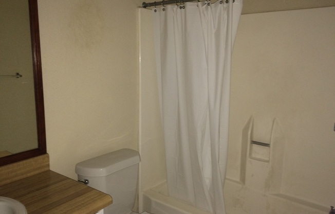 1 bed, 1 bath, $900