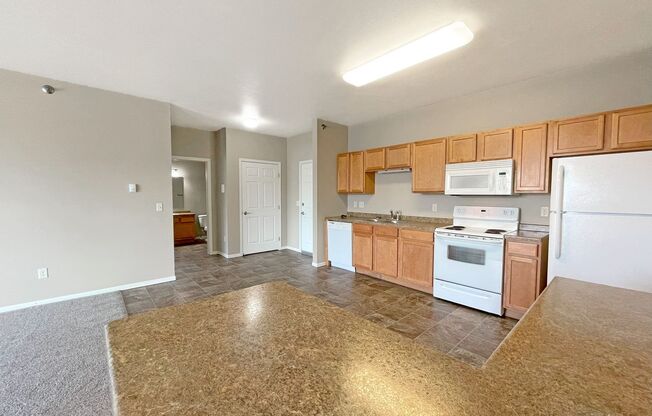 2 beds, 2 baths, 1,040 sqft, $1,215, Unit 304