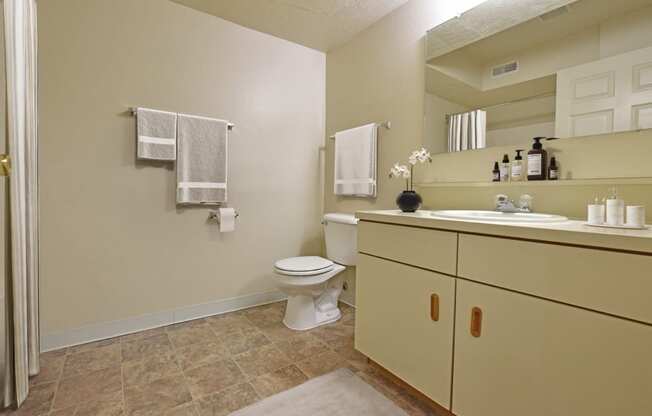 Bathroom at Heatherwood Apartments, Grand Blanc