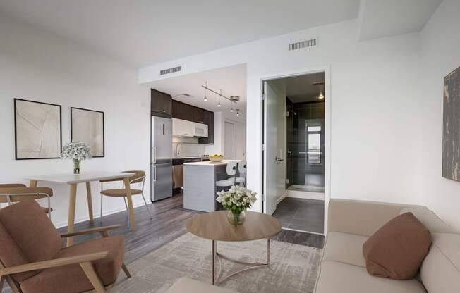 Alton District Luxury Apartments in Washington, DC Model Living Room and Kitchen