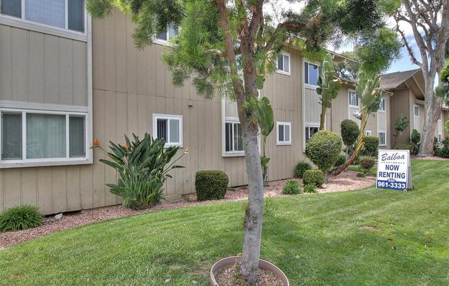 Lush Green Outdoor Spaces at Balboa Apartments, Sunnyvale, California