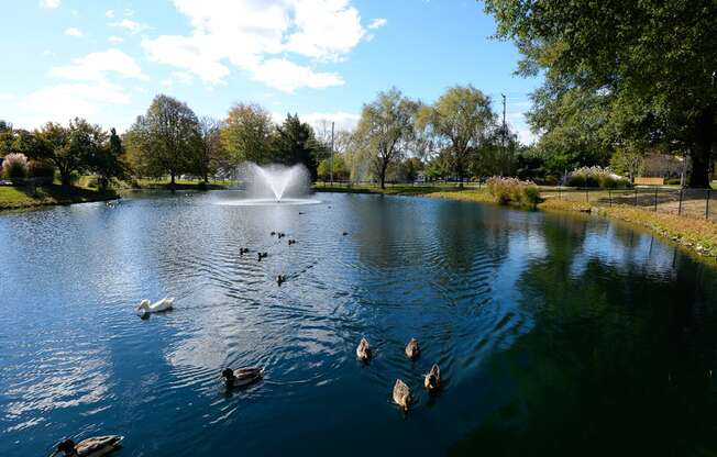 Duck Pond at Woodsdale Apartments, Abingdon, MD