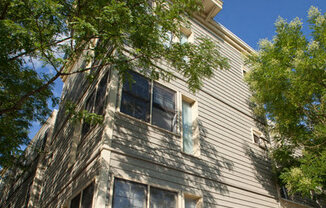 Welcome to 119 Pacific Street