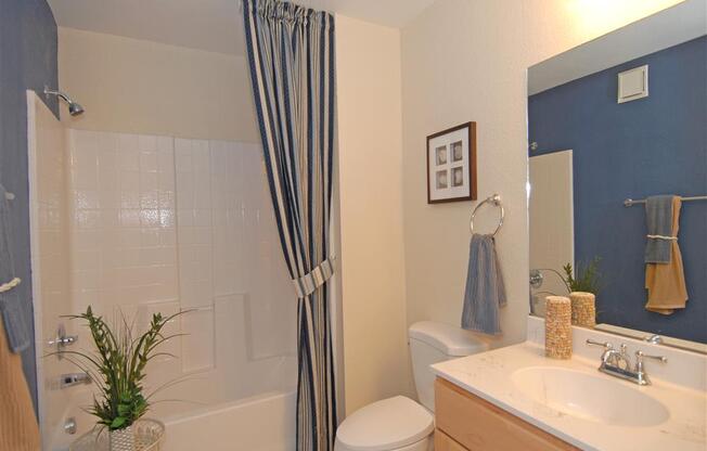 Bathroom with shower curtains