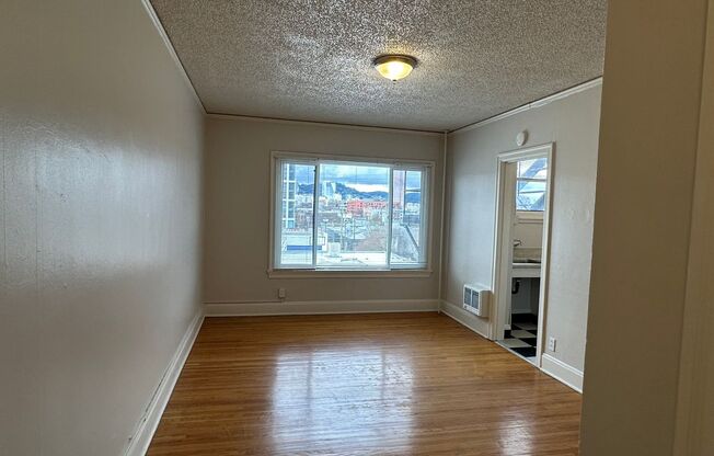 Studio, 1 bath, 330 sqft, $950, Unit 205