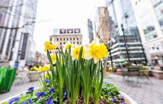 35 W 33 ST