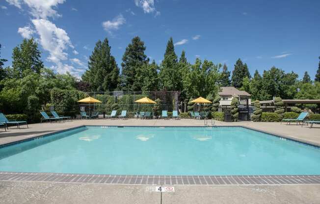 Stanford Heights swimming pool side view