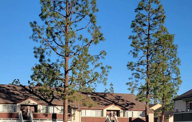 Large open area with mature trees and picnic stations at Northwood Apartments in Upland, California.