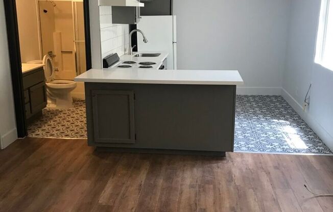 Studio, 1 bath, $1,925, Unit 203