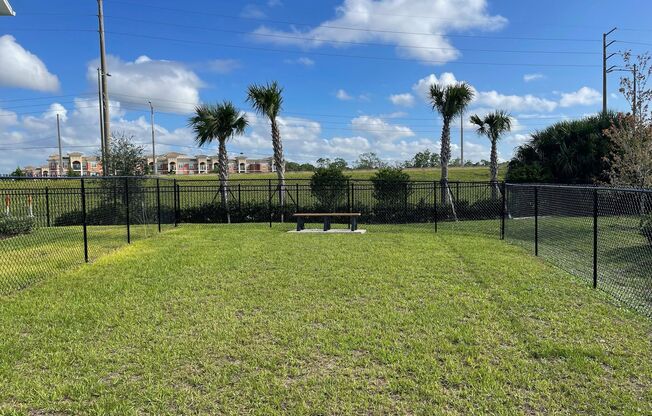 Champions Chase by Kimaya