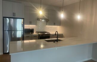 1 bed, 1 bath, 1,013 sqft, $2,995, Unit 102