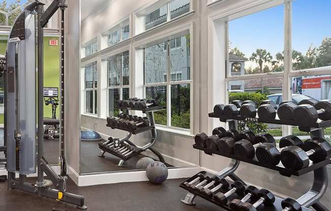 Community Fitness Center with Equipment at Vinings at Hunter's Green Apartments in Tampa, FL.