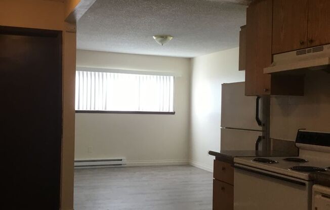 1 bed, 1 bath, 500 sqft, $1,100, Unit 08-B