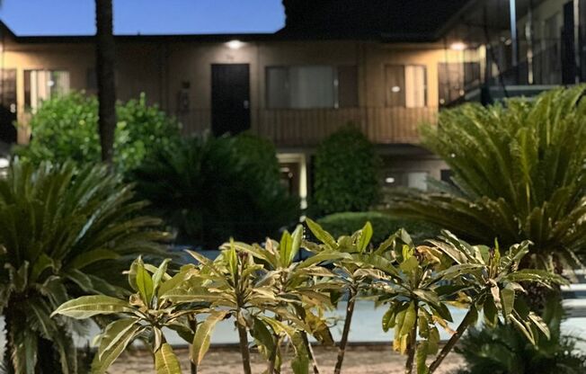 1 bed, 1 bath, 675 sqft, $1,645, Unit 16