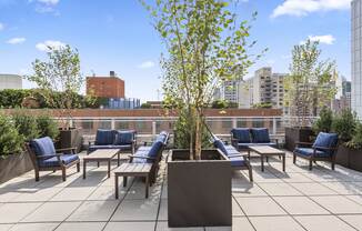 2 beds, 1 bath, 1,005 sqft, $6,250, Unit 7B