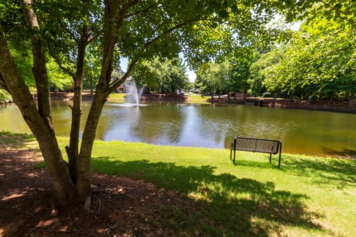 a park bench overlooking a pond with a fountain