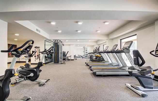 A spacious gym with a variety of cardio equipment.