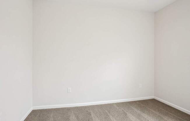 A room with a carpeted floor and a wall socket.