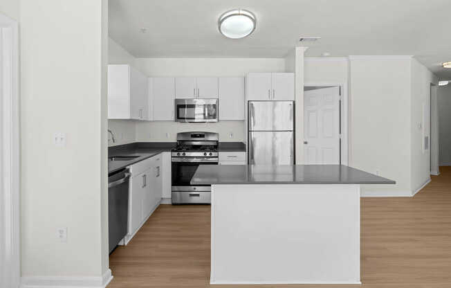 Kitchen with Stainless Steel Appliances