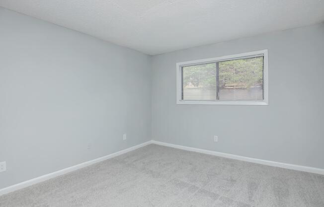 1 bed, 1 bath, 800 sqft, $1,250