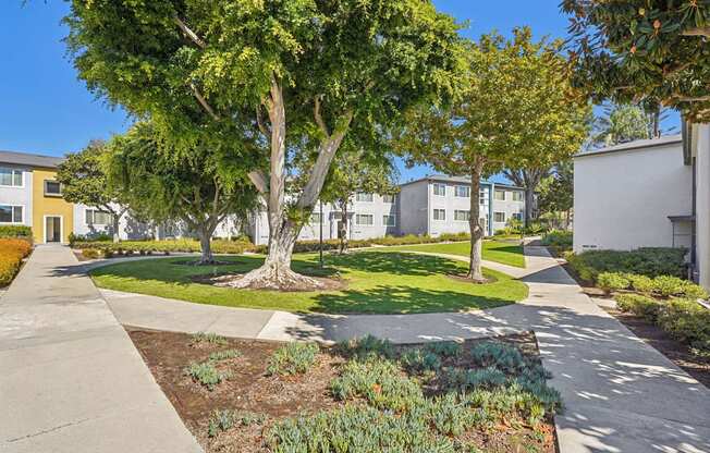 A tree in a grassy area in front of apartment buildings.