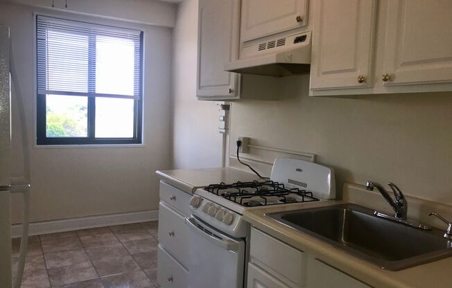 1 bed, 1 bath, $995, Unit 1104