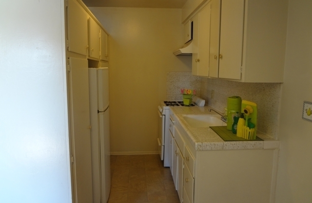 Studio, 1 bath, 425 sqft, $1,595, Unit 104 $499 SECURITY DEPOSIT O.A.C !!! AND SUMMER SPECIAL TO MOVE IN ...ASK ME HOW. CALL ME TO SCHEDULE YOUR VISIT ALBERT 323-809-6765