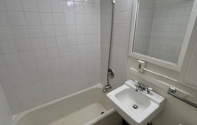 Studio, 1 bath, 305 sqft, $995, Unit 102