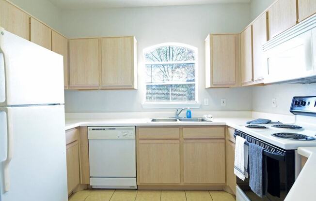 apartment kitchen in Baton Rouge