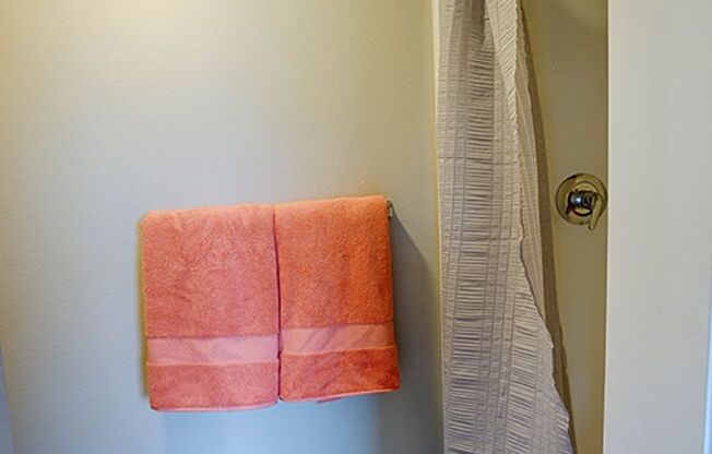 Studio, 1 bath, 156 sqft, $1,195, Unit B8