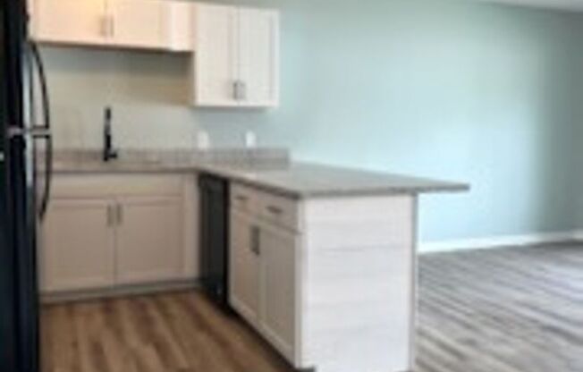 Fairway Village Beautifully Upgraded Condo (Island Green)