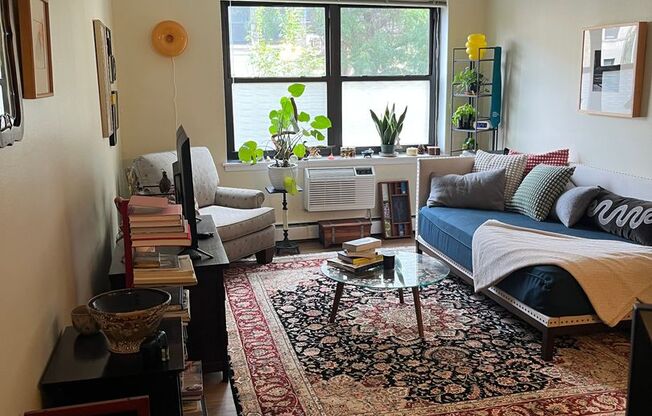 1 bed, 1 bath, $1,925, Unit 541-203