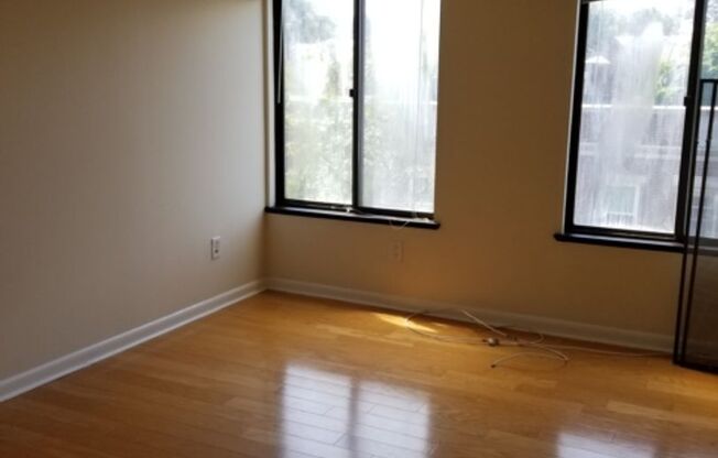 Coolidge Corner, Prime location!  West facing bright condo Available Now! Walk to Longwood!