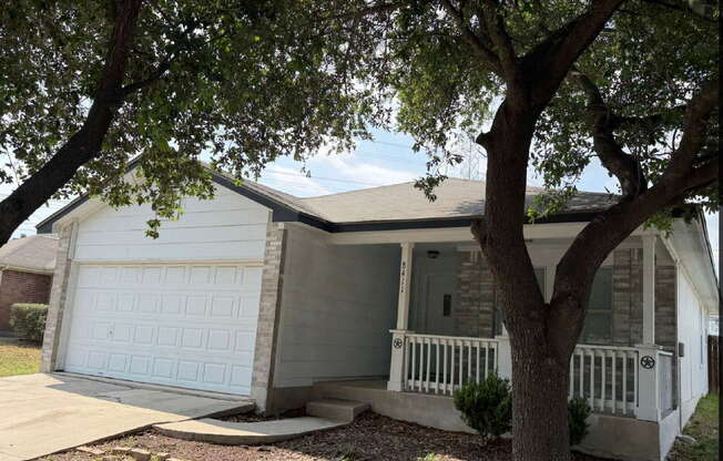 8411 CRINUM LILY DR