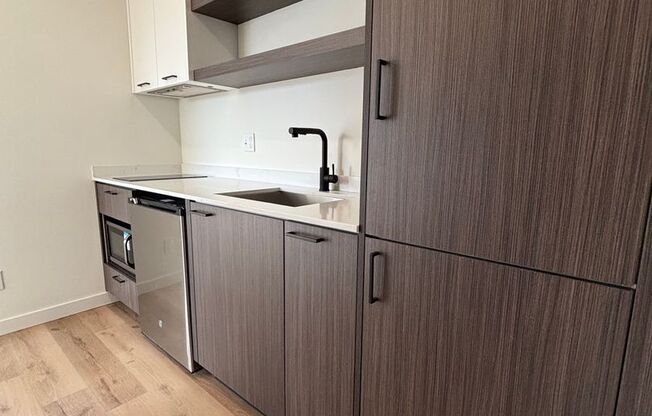 Studio, 1 bath, 250 sqft, $1,395, Unit 002