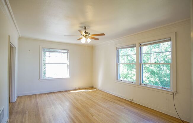 Lease this Dreamy & Spacious Hosford-Abernethy Studio