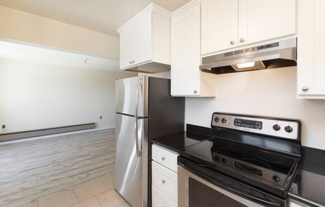 1 bed, 1 bath, 578 sqft, $3,095, Unit 101