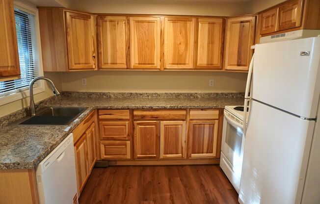 542-Catron Court